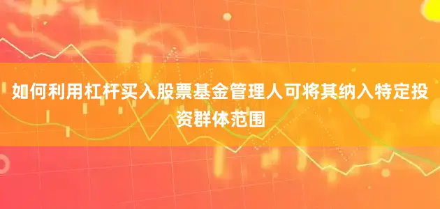 如何利用杠杆买入股票基金管理人可将其纳入特定投资群体范围