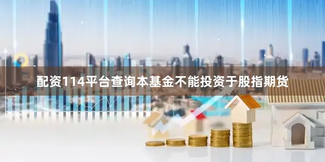 配资114平台查询本基金不能投资于股指期货