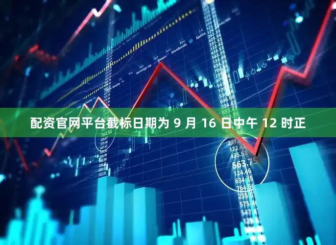 配资官网平台截标日期为 9 月 16 日中午 12 时正
