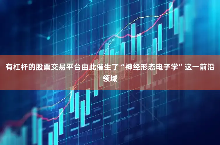 有杠杆的股票交易平台由此催生了“神经形态电子学”这一前沿领域